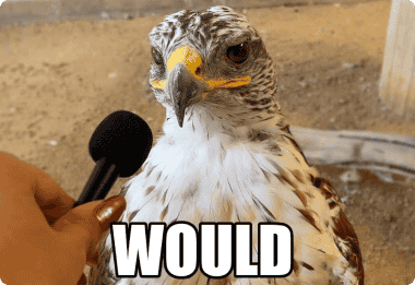WOULD meme 1