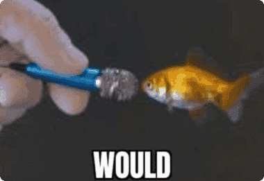 WOULD meme 3