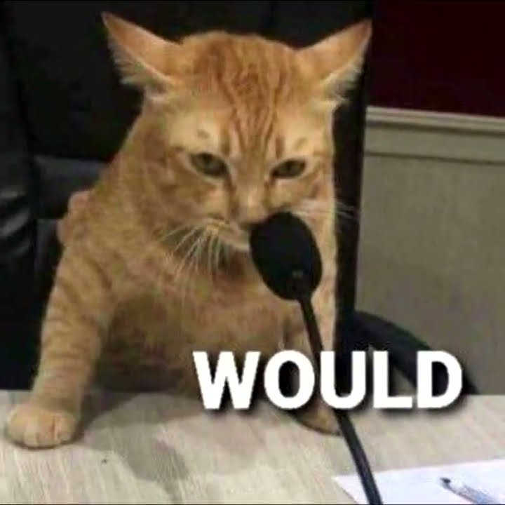 WOULD meme 4