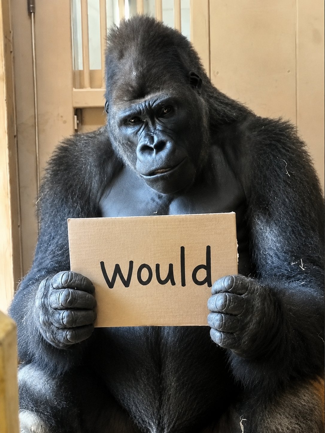 WOULD meme 9